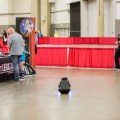 FanExpoDallas-040618-web (32 of 139)